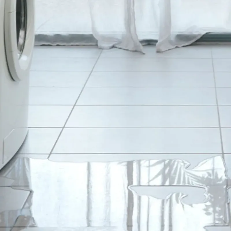 Appliance Leak Cleanup in Serenada, TX